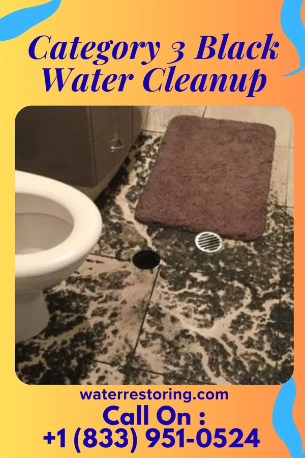 Category 3 Black Water Cleanup in Freeport, OH