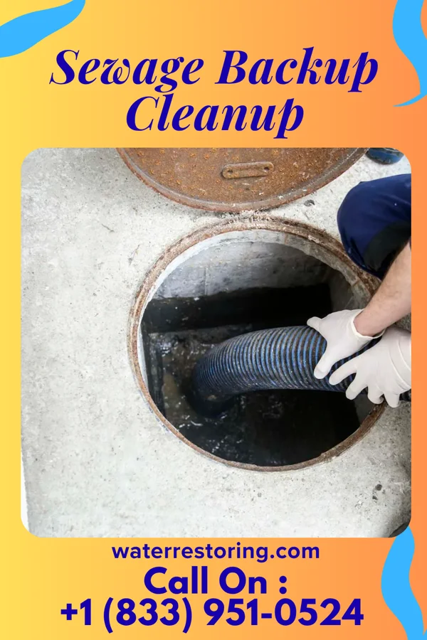 Sewage Backup Cleanup in Freeport, OH