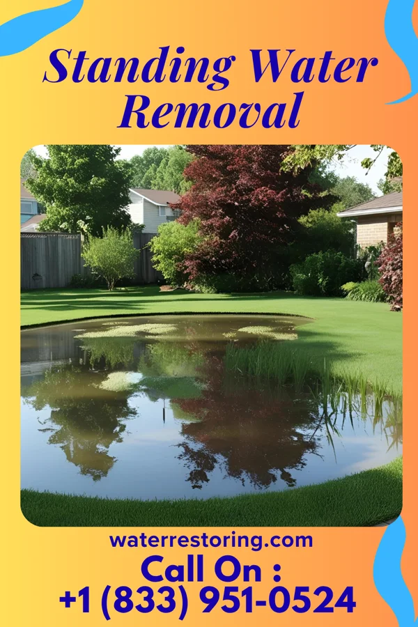Standing Water Removal in Freeport, OH